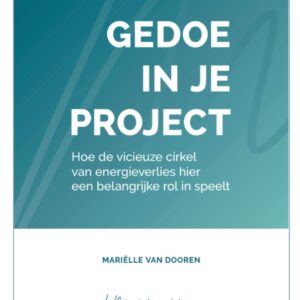 E-book: Gedoe in je project